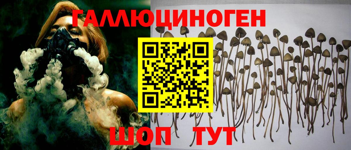 Нарткала  Псилоцибиновые грибы Magic Shrooms  где купить   Вход с VPN 